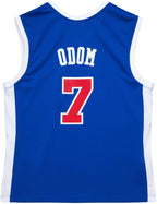Lamar Odom LA Lakers 2002/2003 NBA Authentic Jersey Mitchell & Ness