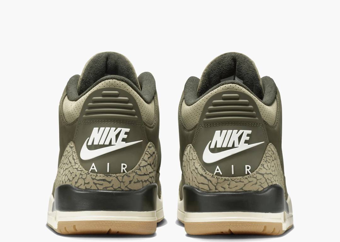 Air Jordan 3 ‘Family Affair’
