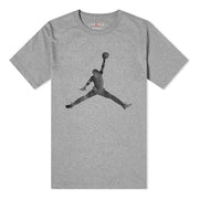 Air Jordan Big Logo Grey