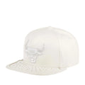 Mitchell&Ness Chicago Bulls Day One Pure Money