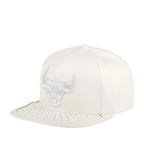 Mitchell&Ness Chicago Bulls Day One Pure Money