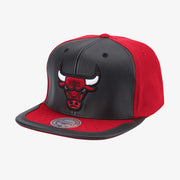Mitchell&Ness Chicago Bulls Day One Bred Snapback