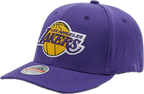 Mitchell&Ness NBA Team Ground 2.0 Stretch Los Angeles Lakers