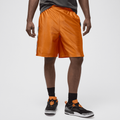 Air Jordan Brooklyn Cat Scratch Shorts