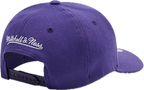 Mitchell&Ness NBA Team Ground 2.0 Stretch Los Angeles Lakers