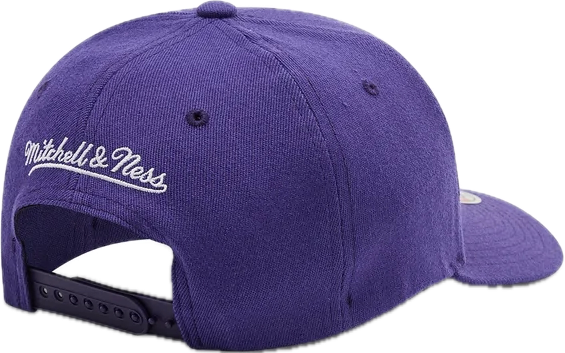Mitchell&Ness NBA Team Ground 2.0 Stretch Los Angeles Lakers