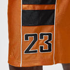 Air Jordan Brooklyn Cat Scratch Shorts
