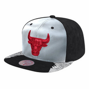 Mitchell&Ness NBA Day 5 Metallic Black Snapback