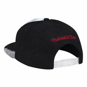 Mitchell&Ness NBA Day 5 Metallic Black Snapback