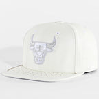 Mitchell&Ness Chicago Bulls Day One Pure Money