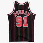Dennis Rodman Chicago Bulls 1995/1996 NBA Authentic Jersey Mitchell & Ness